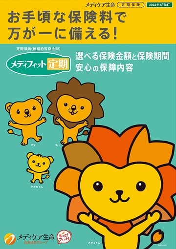 メディフィット定期のパンフレット
